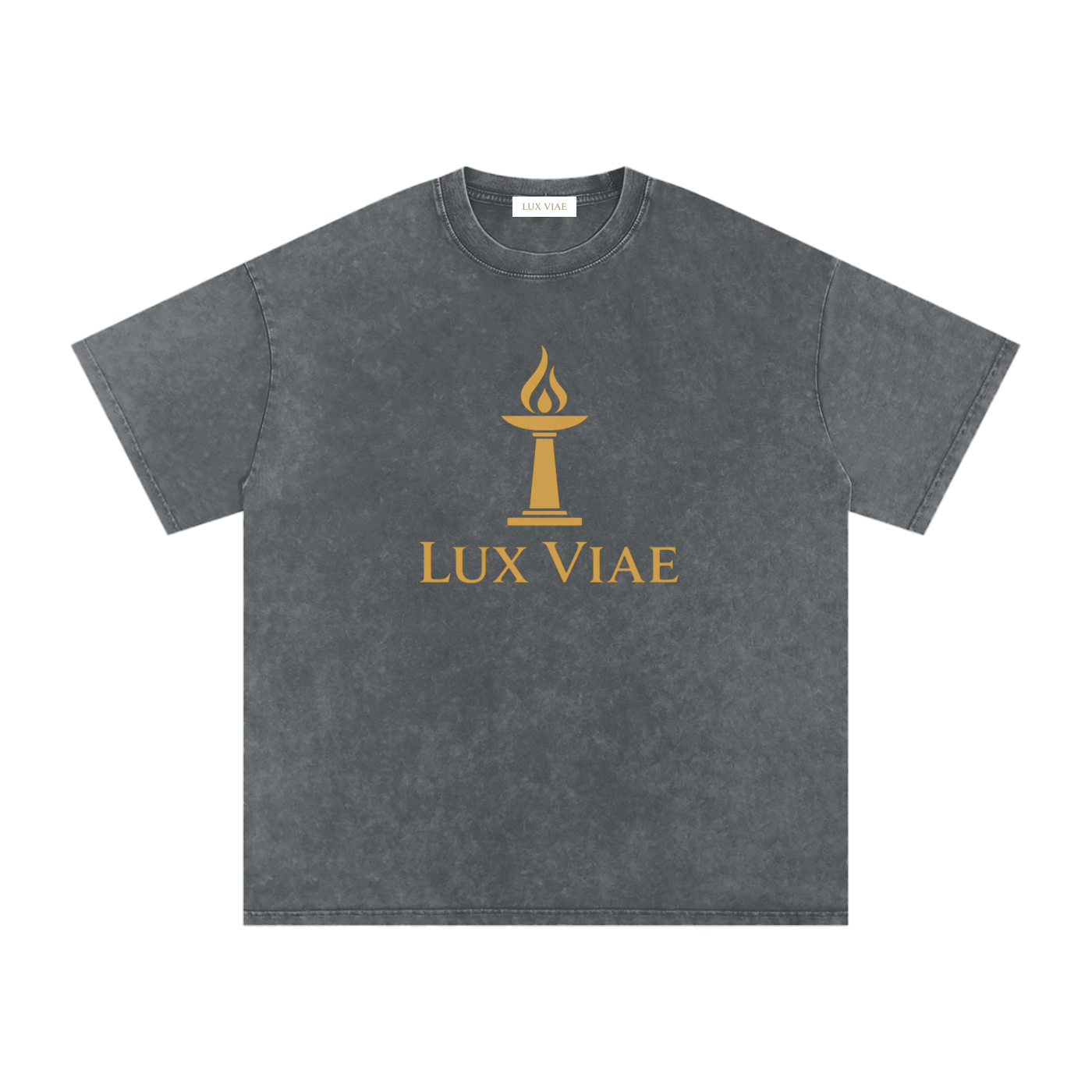 Logo Oversized Snow Wash T-Shirt
